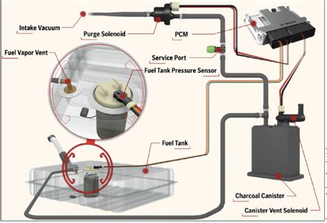 Evap System Leak